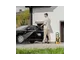 Электрическая мойка DENZEL R-165 58234